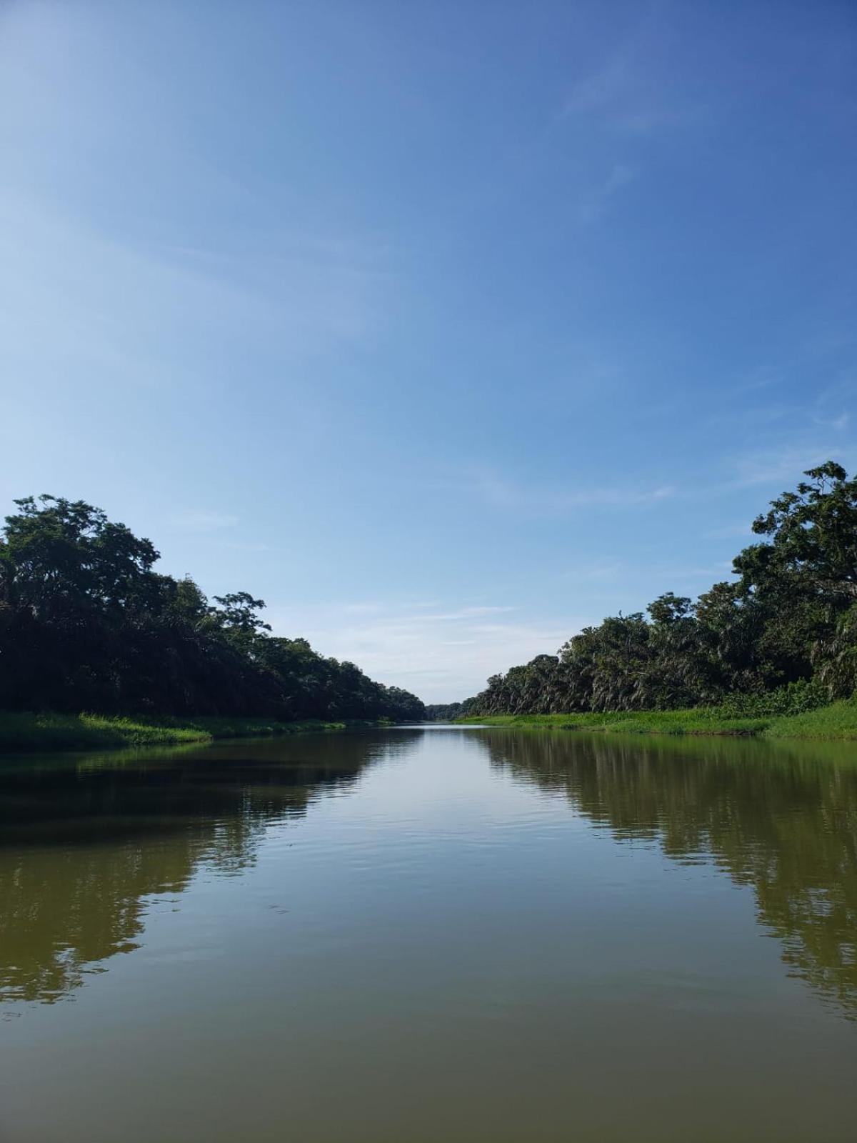 Alma Del Bosque Hotel Tortuguero Bagian luar foto
