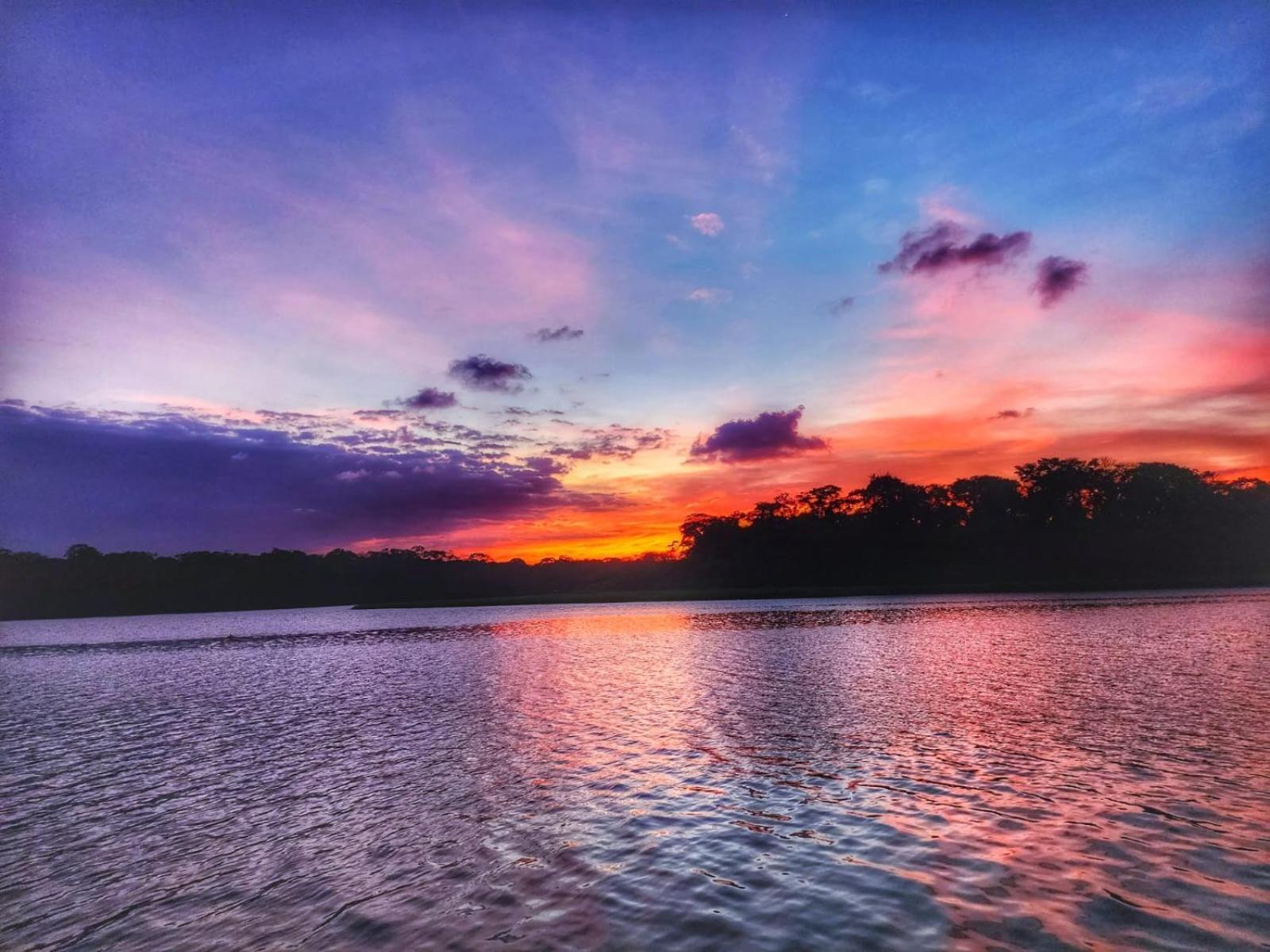 Alma Del Bosque Hotel Tortuguero Bagian luar foto